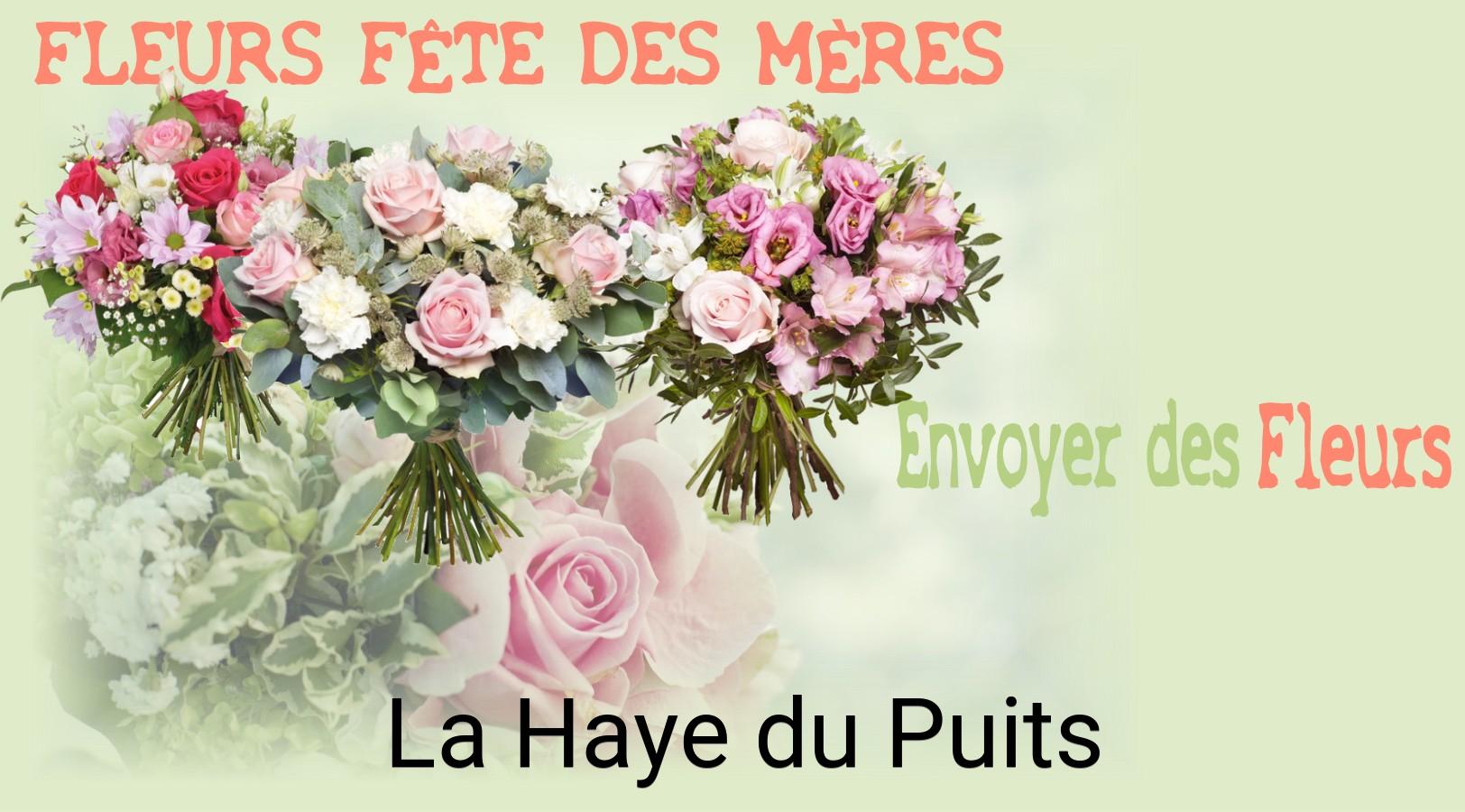 Bouquet de Fête des Mères livré à La Haye-du-Puits